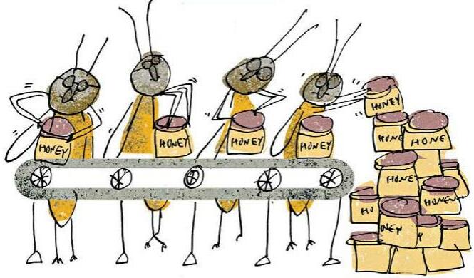 The Buzz About Bees